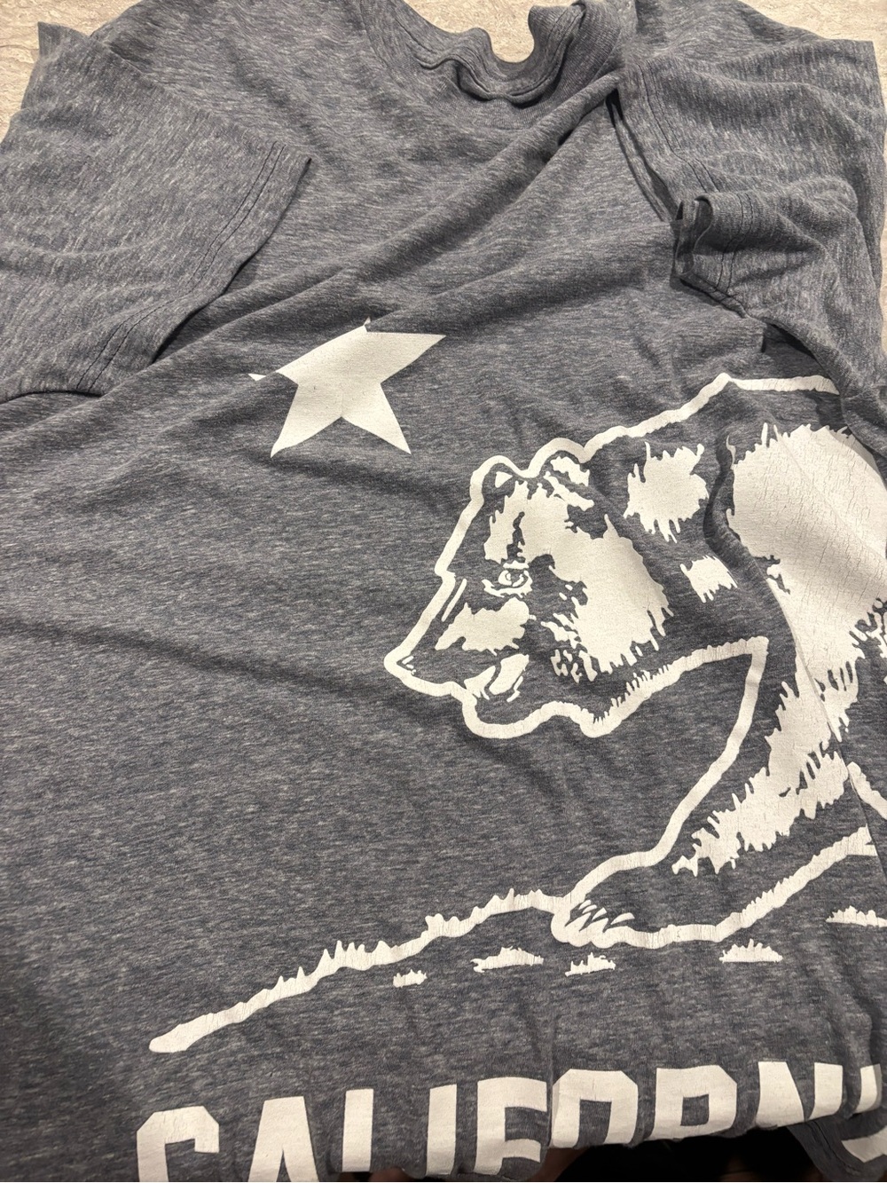 California grey T-shirt